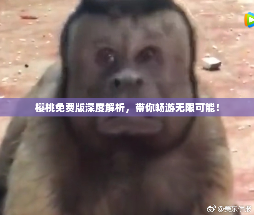 樱桃免费版深度解析，带你畅游无限可能！