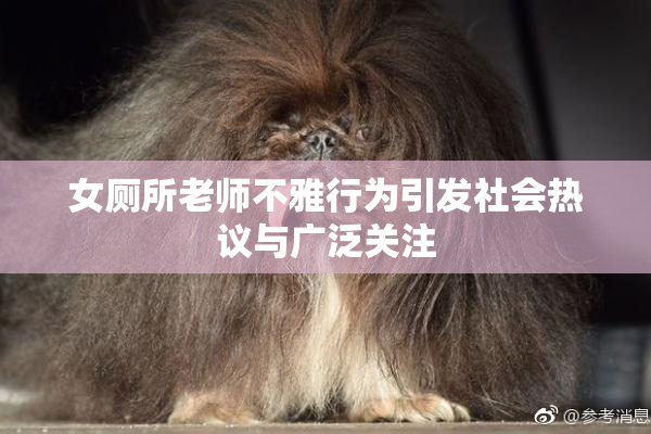 女厕所老师不雅行为引发社会热议与广泛关注