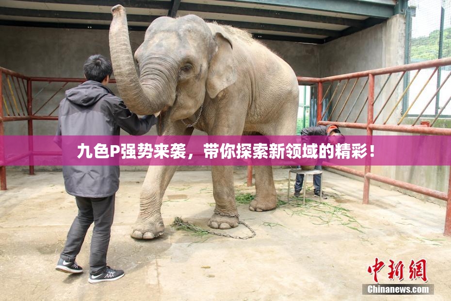 九色P强势来袭，带你探索新领域的精彩！