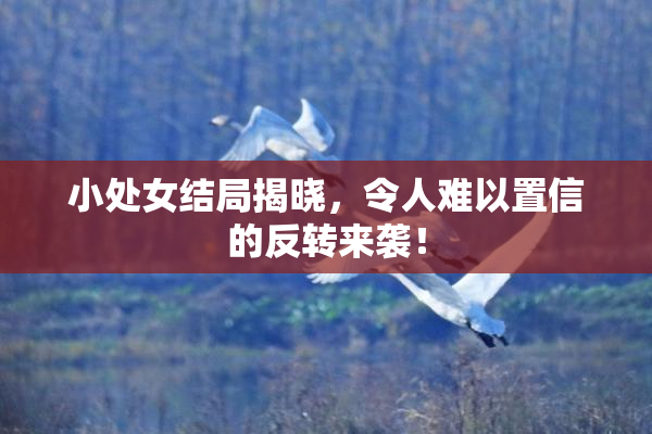 小处女结局揭晓，令人难以置信的反转来袭！
