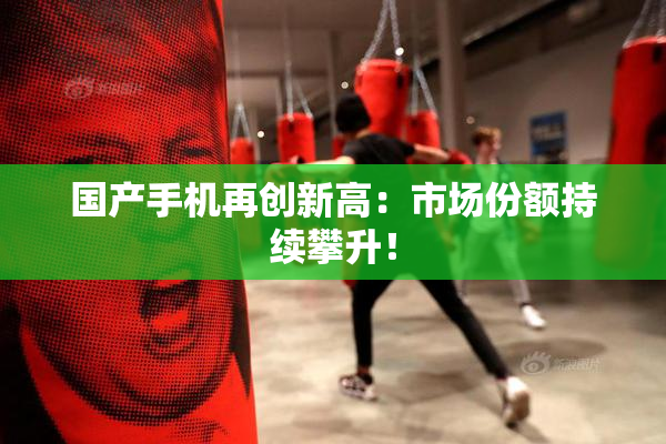 国产手机再创新高：市场份额持续攀升！