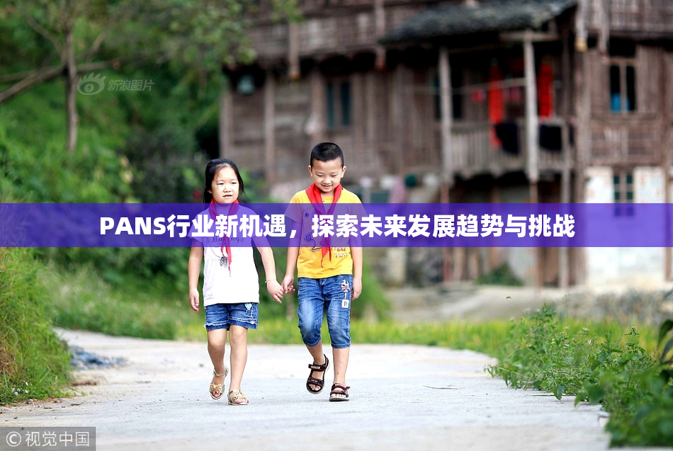PANS行业新机遇，探索未来发展趋势与挑战