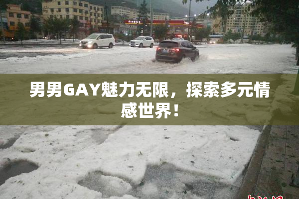 男男GAY魅力无限，探索多元情感世界！