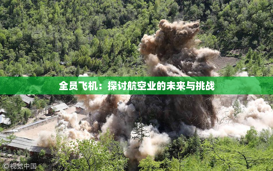 全员飞机：探讨航空业的未来与挑战