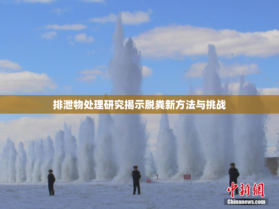 排泄物处理研究揭示脱粪新方法与挑战