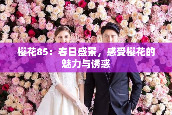 樱花85：春日盛景，感受樱花的魅力与诱惑