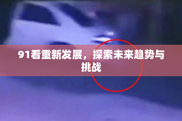 91看重新发展，探索未来趋势与挑战