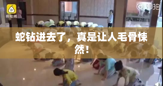 蛇钻进去了，真是让人毛骨悚然！