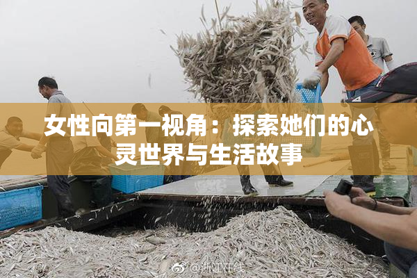 女性向第一视角：探索她们的心灵世界与生活故事