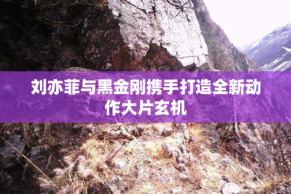 刘亦菲与黑金刚携手打造全新动作大片玄机