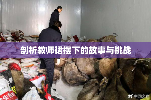 剖析教师裙摆下的故事与挑战