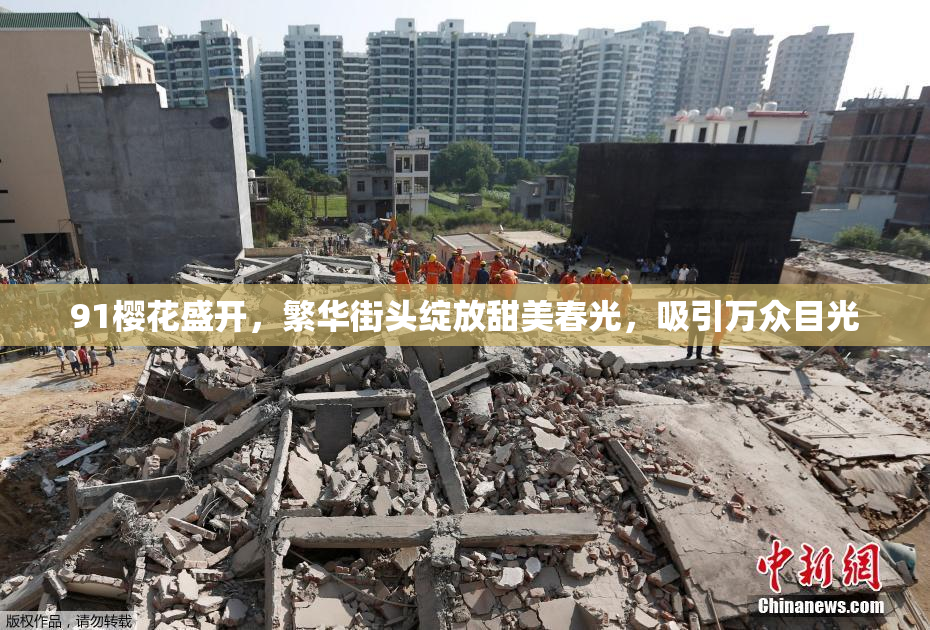 91樱花盛开，繁华街头绽放甜美春光，吸引万众目光