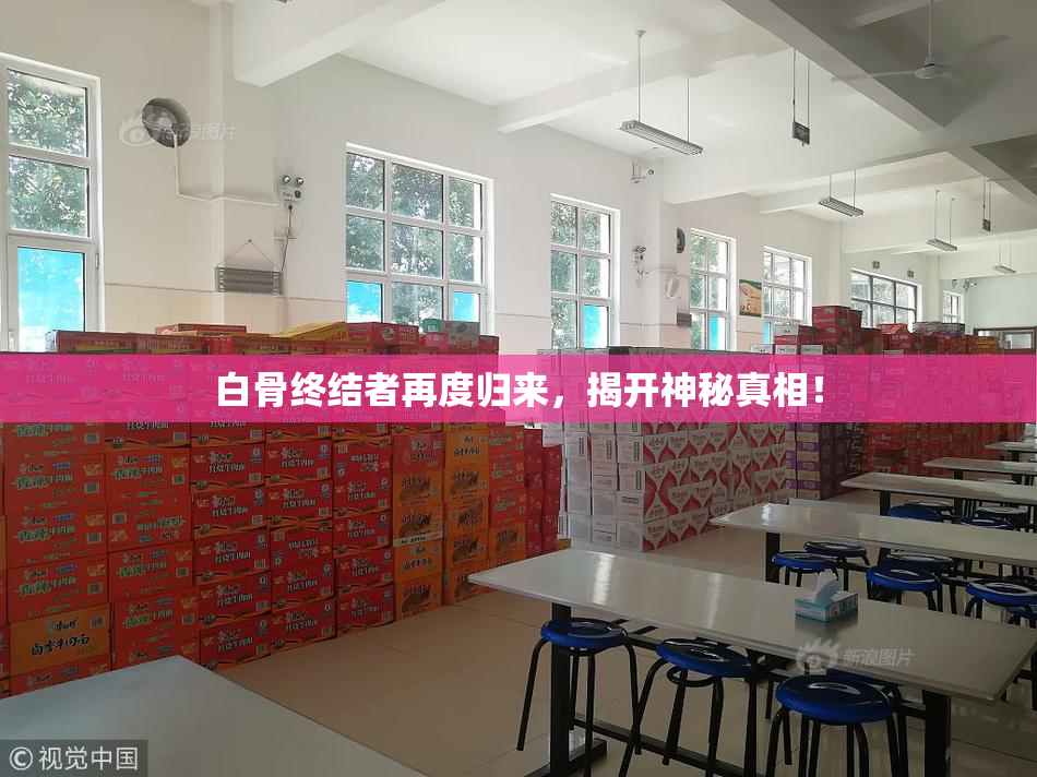 白骨终结者再度归来，揭开神秘真相！