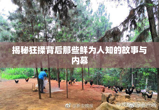 揭秘狂揉背后那些鲜为人知的故事与内幕