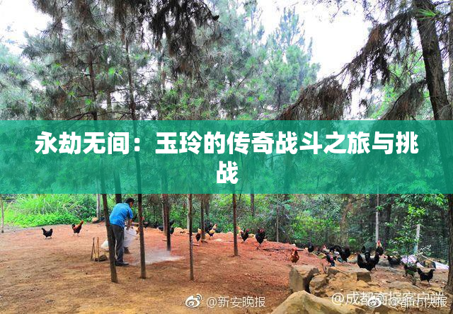 永劫无间：玉玲的传奇战斗之旅与挑战