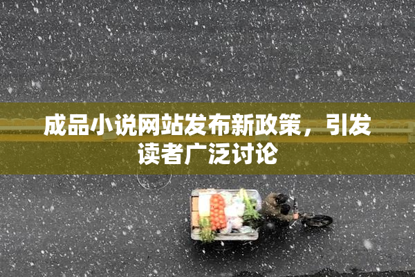 成品小说网站发布新政策，引发读者广泛讨论