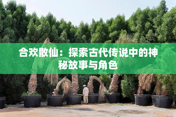 合欢散仙：探索古代传说中的神秘故事与角色