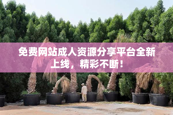 免费网站成人资源分享平台全新上线，精彩不断！