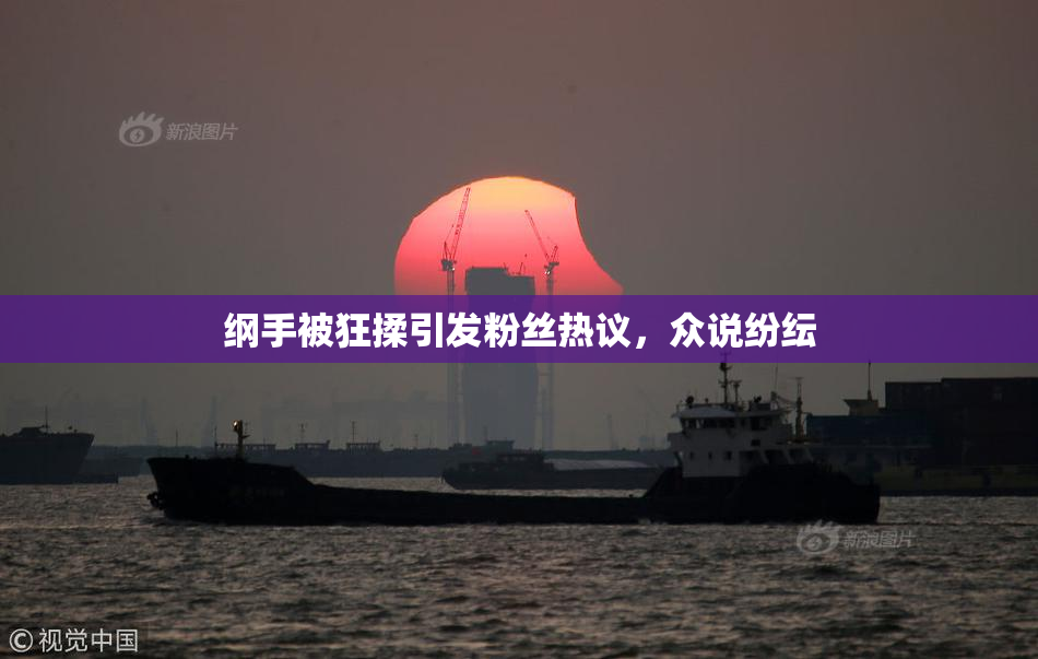 纲手被狂揉引发粉丝热议，众说纷纭