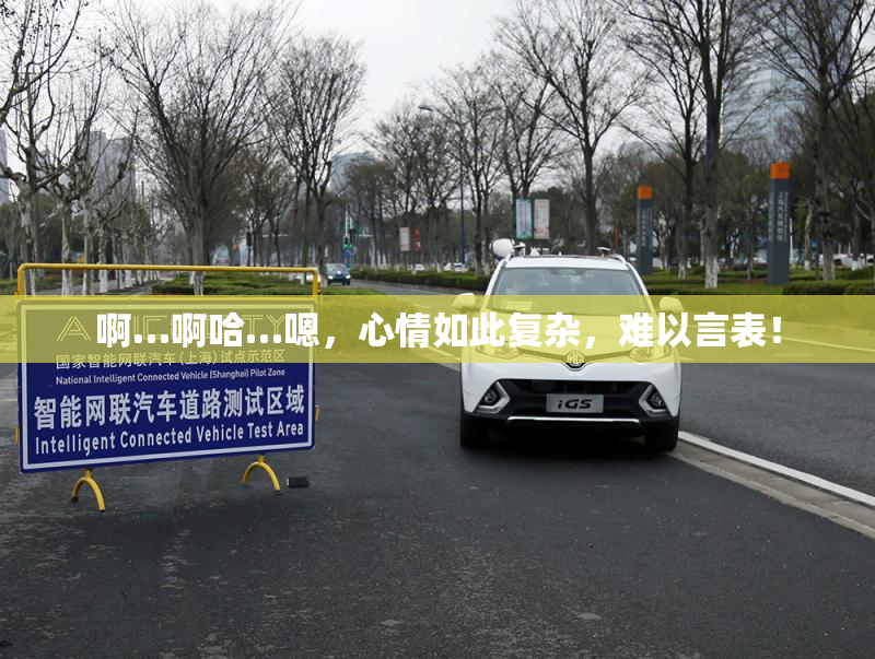 啊…啊哈…嗯，心情如此复杂，难以言表！