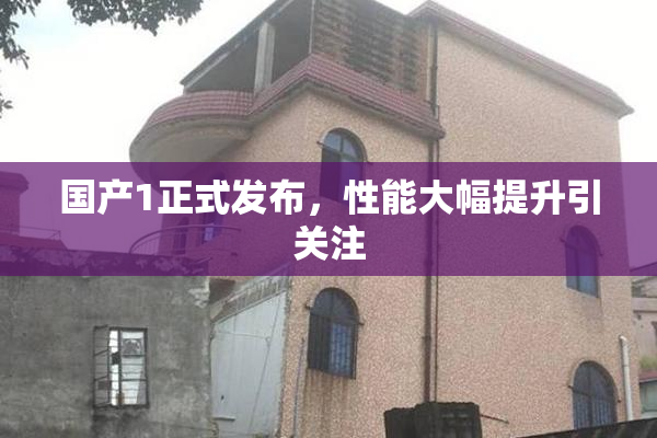 国产1正式发布，性能大幅提升引关注