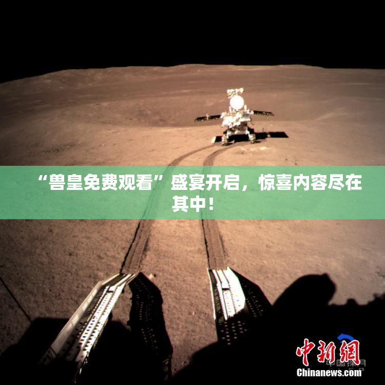 “兽皇免费观看”盛宴开启，惊喜内容尽在其中！