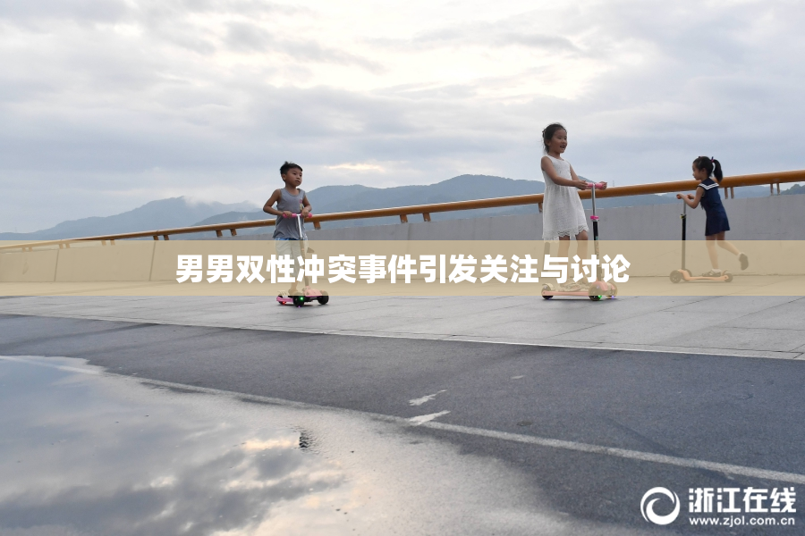 男男双性冲突事件引发关注与讨论