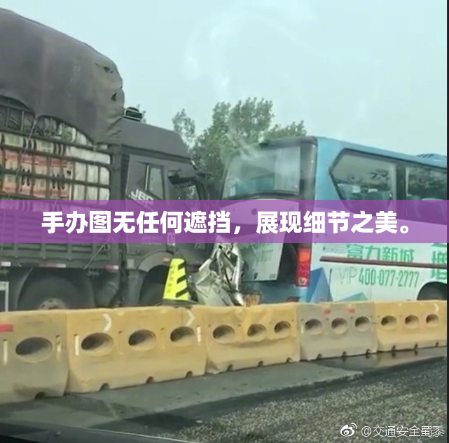 手办图无任何遮挡，展现细节之美。