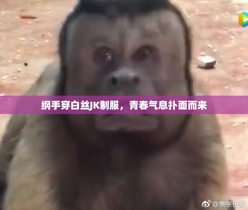 纲手穿白丝JK制服，青春气息扑面而来