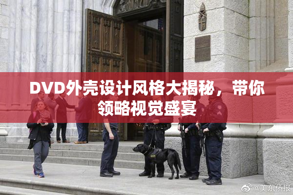 DVD外壳设计风格大揭秘，带你领略视觉盛宴