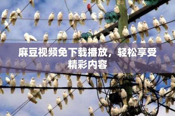 麻豆视频免下载播放，轻松享受精彩内容
