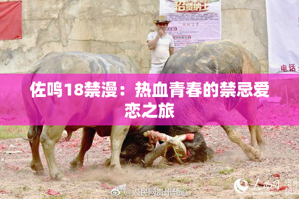 佐鸣18禁漫：热血青春的禁忌爱恋之旅