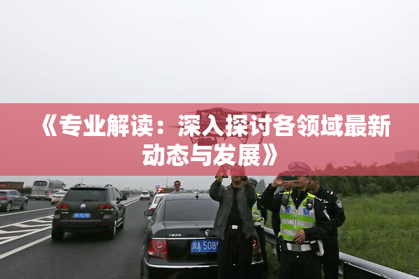 《专业解读：深入探讨各领域最新动态与发展》