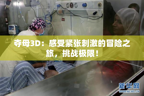 夺母3D：感受紧张刺激的冒险之旅，挑战极限！