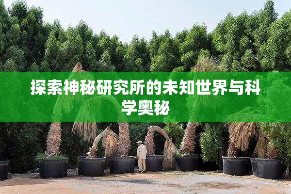 探索神秘研究所的未知世界与科学奥秘