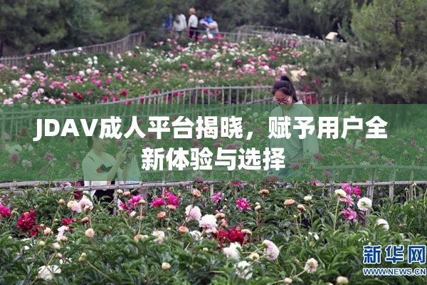 JDAV成人平台揭晓，赋予用户全新体验与选择