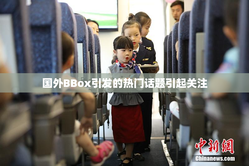 国外BBox引发的热门话题引起关注