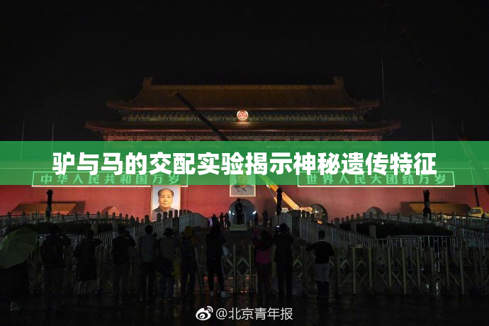 驴与马的交配实验揭示神秘遗传特征