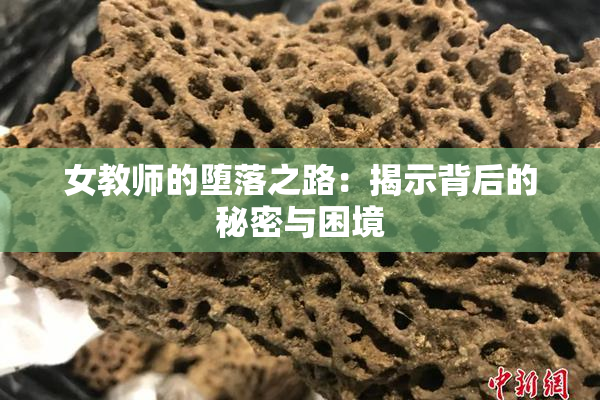 女教师的堕落之路：揭示背后的秘密与困境