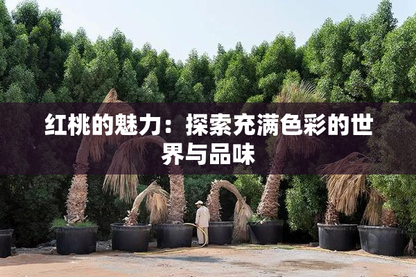 红桃的魅力：探索充满色彩的世界与品味