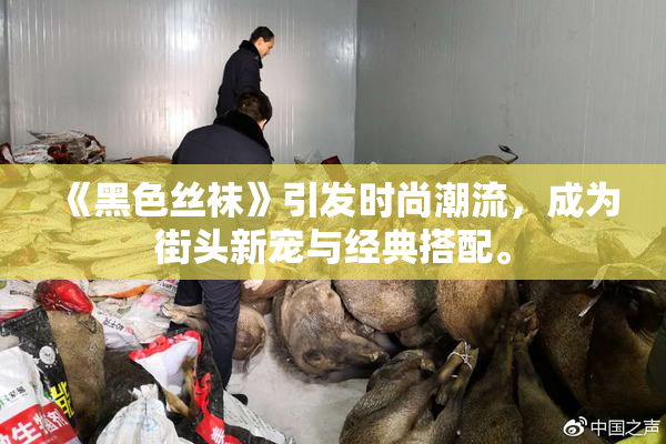《黑色丝袜》引发时尚潮流，成为街头新宠与经典搭配。