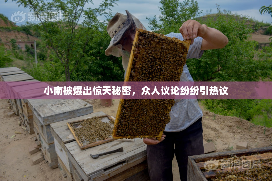 小南被爆出惊天秘密，众人议论纷纷引热议