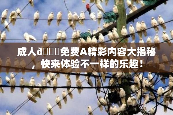 成人🔞免费A精彩内容大揭秘，快来体验不一样的乐趣！