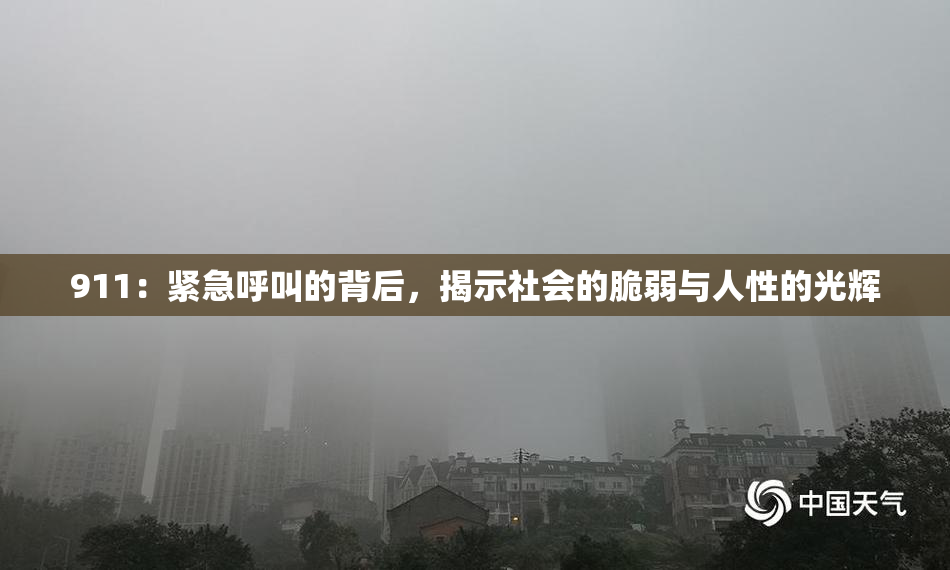 911：紧急呼叫的背后，揭示社会的脆弱与人性的光辉
