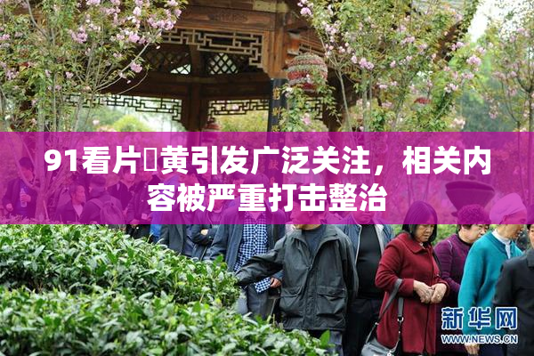 91看片婬黄引发广泛关注，相关内容被严重打击整治