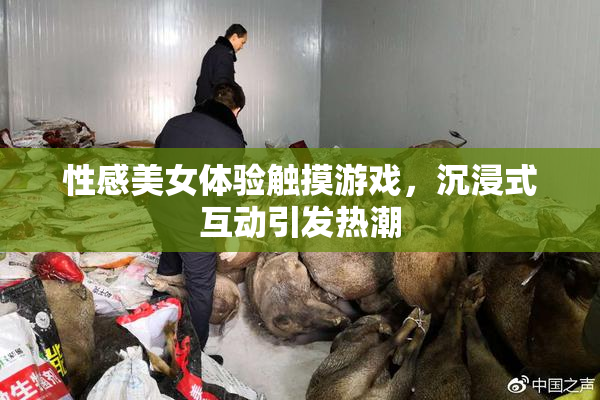 性感美女体验触摸游戏，沉浸式互动引发热潮
