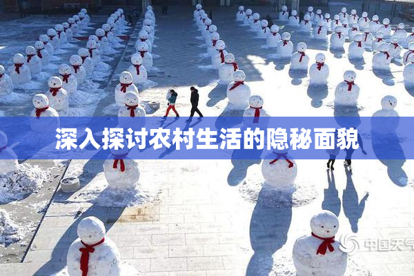 深入探讨农村生活的隐秘面貌