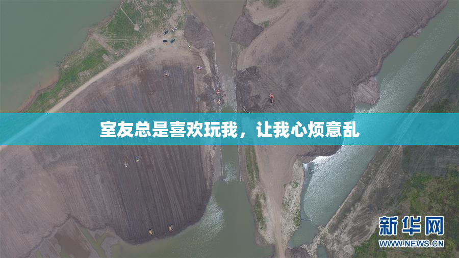 室友总是喜欢玩我，让我心烦意乱