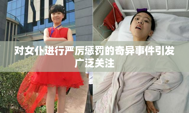 对女仆进行严厉惩罚的奇异事件引发广泛关注