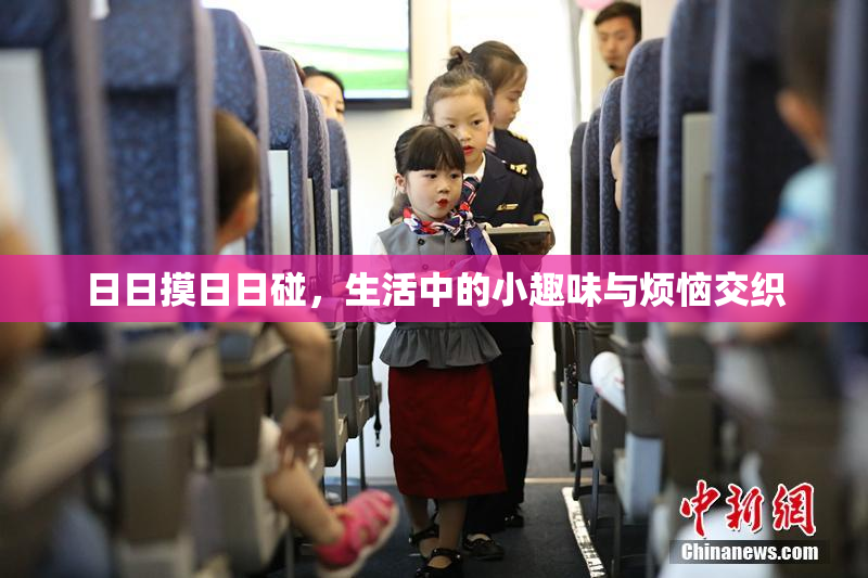 日日摸日日碰，生活中的小趣味与烦恼交织